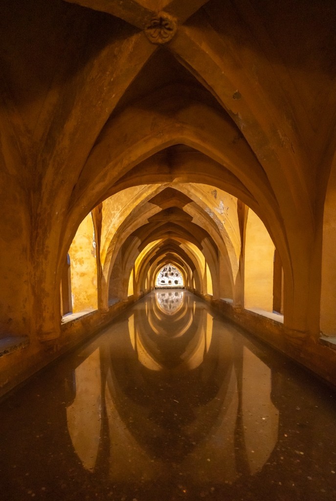 1780991454_elf-sevilla-471.jpg